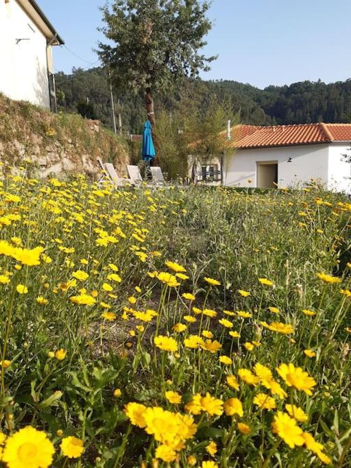A Casa Com 2 Pereiras Bed and Breakfast Terras de Bouro Eksteriør billede