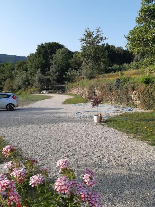 A Casa Com 2 Pereiras Bed and Breakfast Terras de Bouro Eksteriør billede