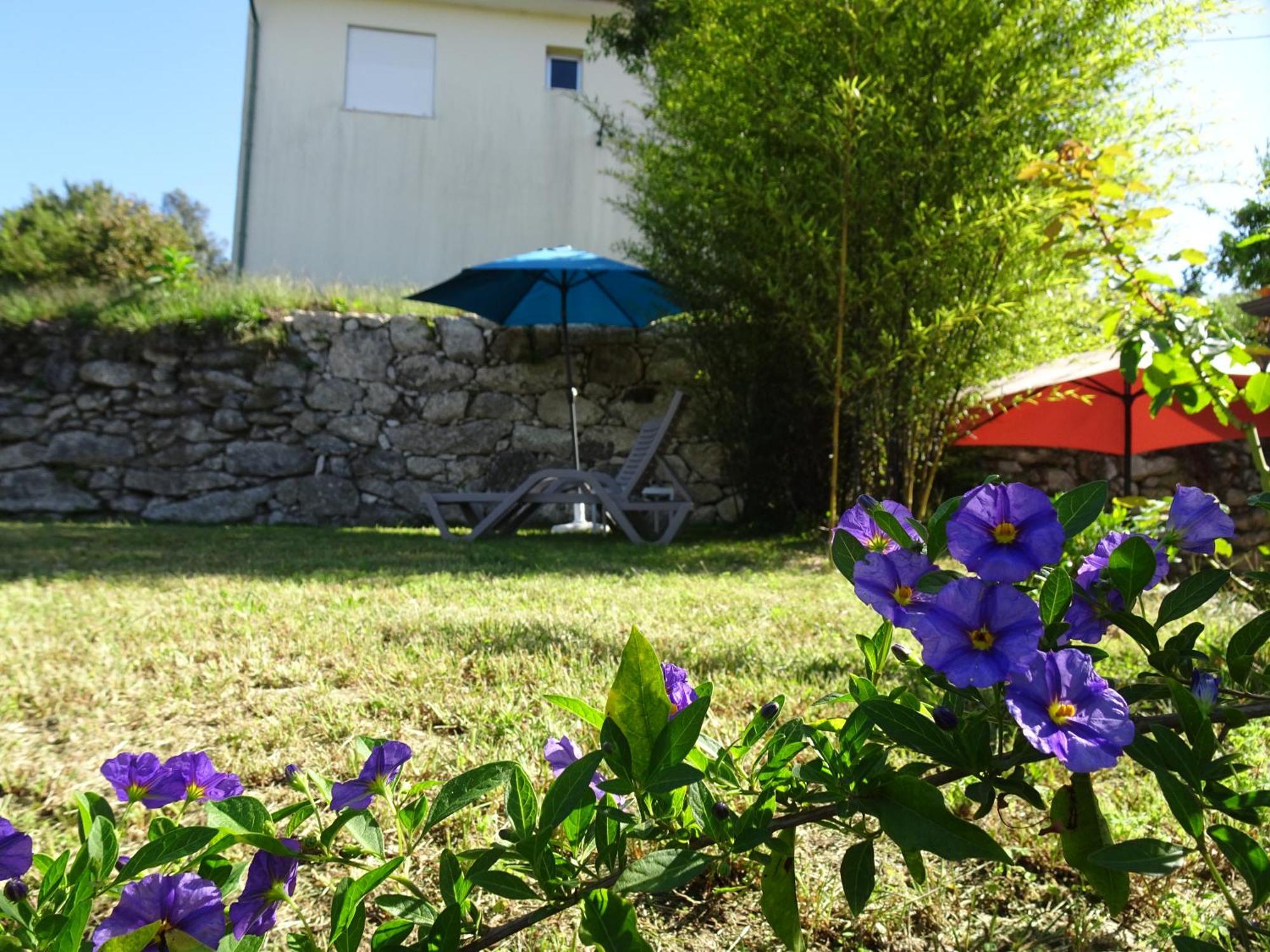A Casa Com 2 Pereiras Bed and Breakfast Terras de Bouro Eksteriør billede